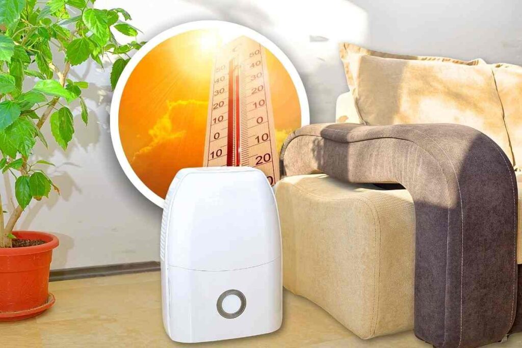 Deumidificatore Aptorlty Per Casa, 1,6 L, Alta Efficienza, Con Luce Ambientale 7 Colori E Sbrinamento Automatico