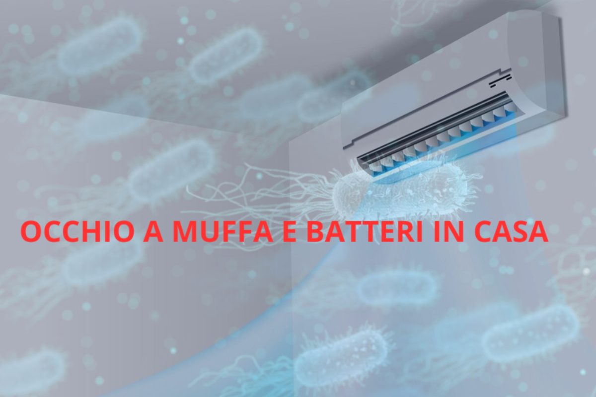Attenzione a muffa e batteri in casa